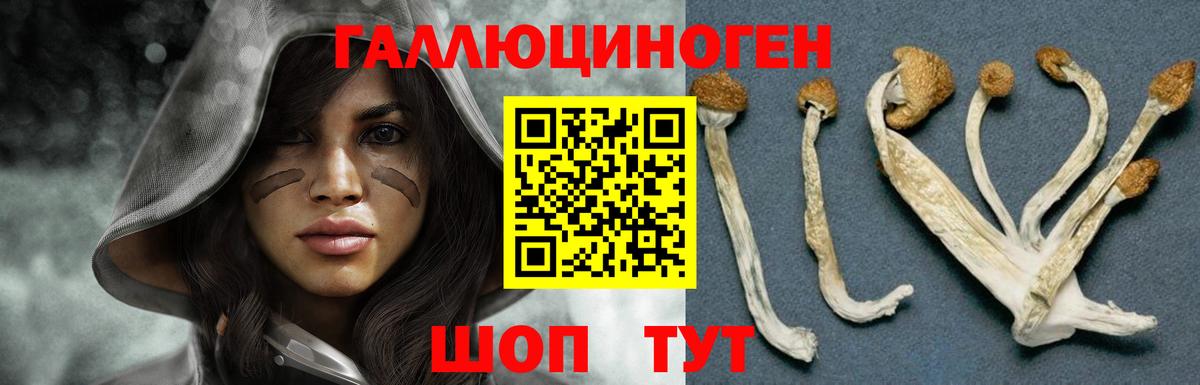 Псилоцибиновые грибы Psilocybine cubensis  Вход с VPN  Феодосия 